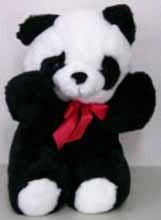 �p���_�@��