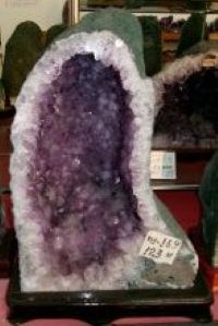 �A���W�X�g�@AMC504�@�J�y�[���i�h�[���j�����x���@12.3�����@03020001