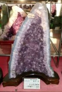 �A���W�X�g�@AMC505�@�J�y�[���i�h�[���j�����x���@7.2�����@03020001